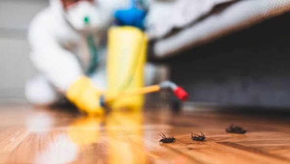 Control de insectos